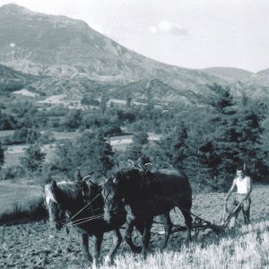 1950 Dadou à Champrien