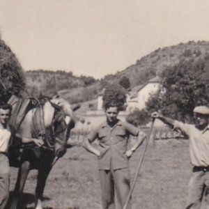 1954 père Borel à Champrien