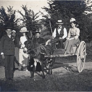 Attelage