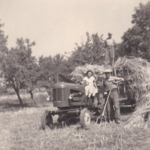 1955 fenaison