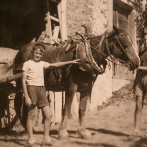 1950 garçons au cheval