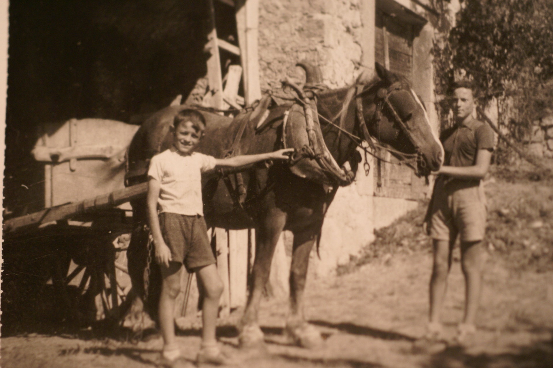 GarconsAuCheval1950_1950-garcons-au-cheval.jpg